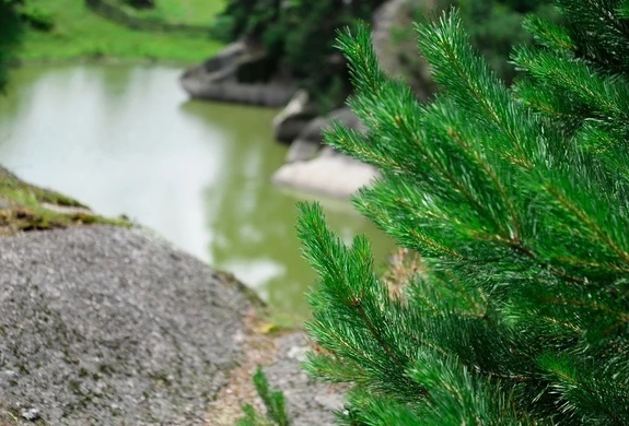 Шаманское озеро