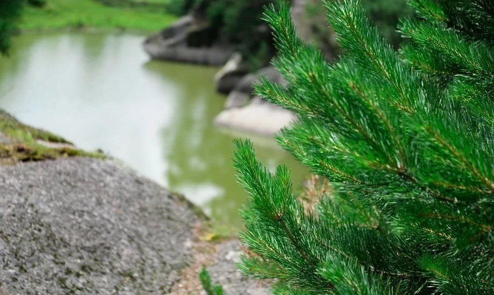 Шаманское озеро