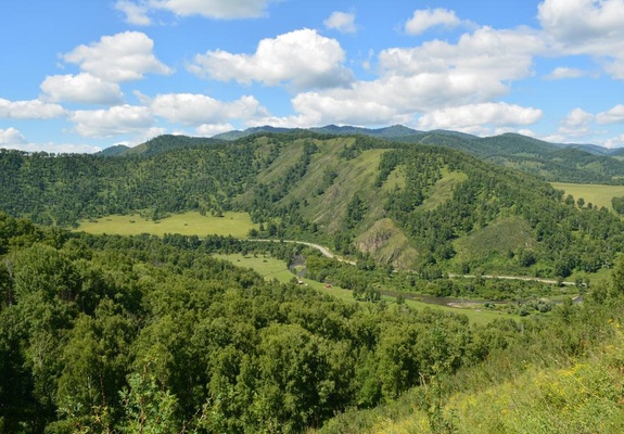 Прогулка на лошади