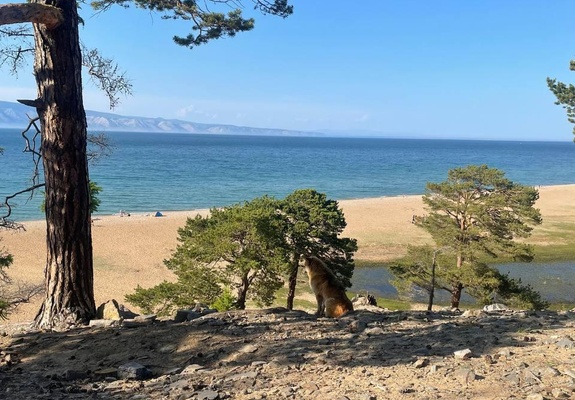 Песчаный пляж, острова Ольхон