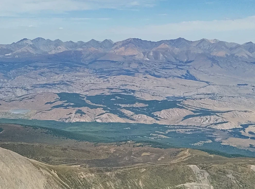Курайская степь
