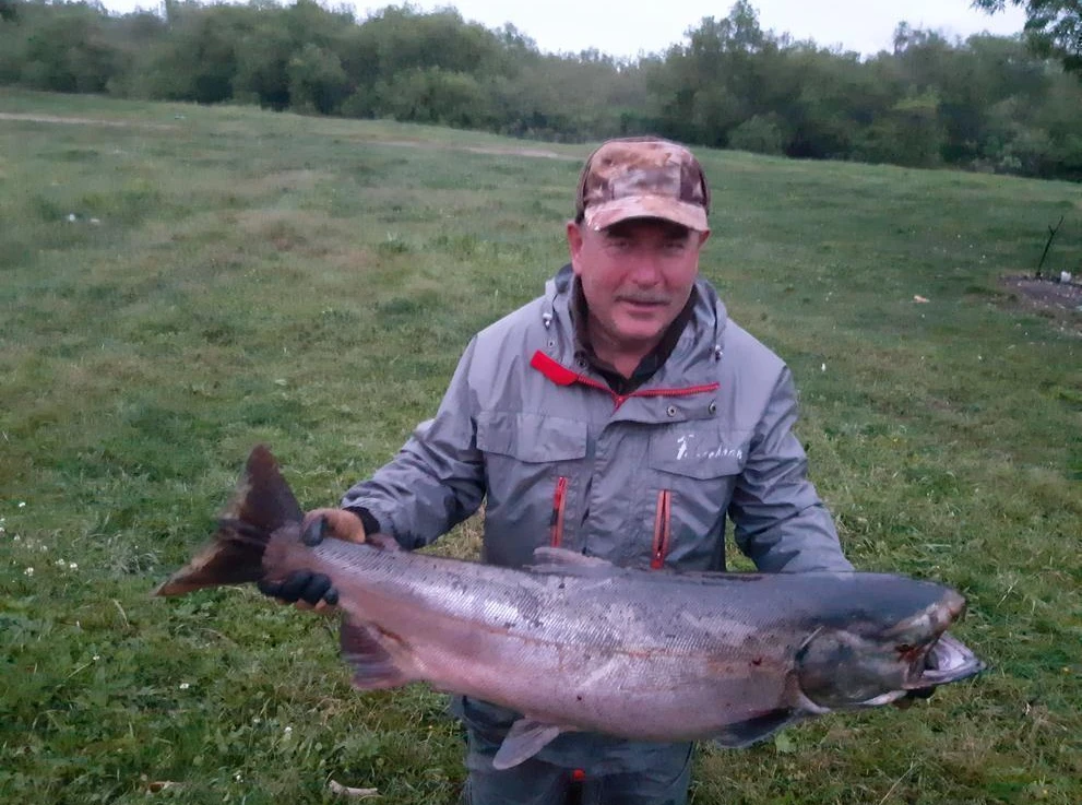 Чавыча, река Начилова