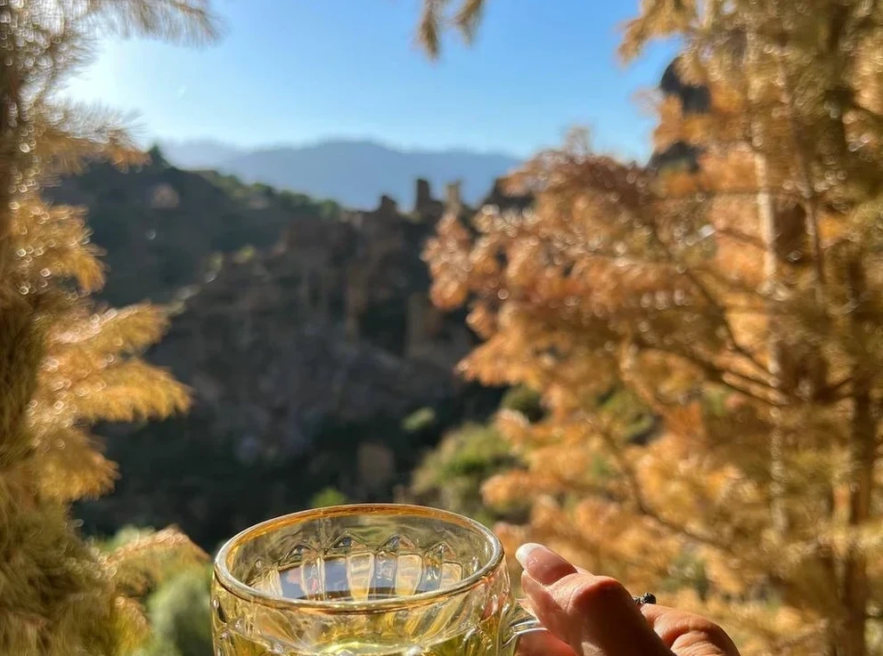 Гамсутль 