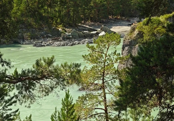 Летняя Катунь