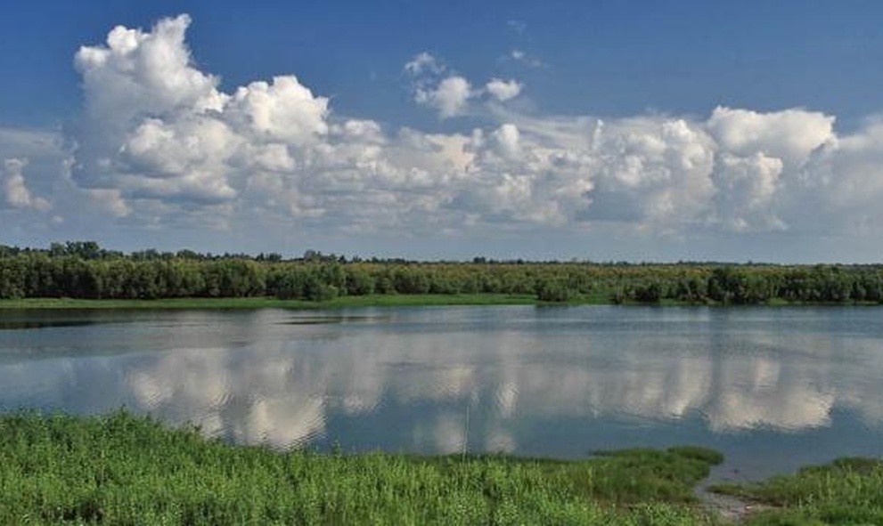 Обь, река
