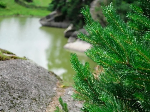 Шаманское озеро