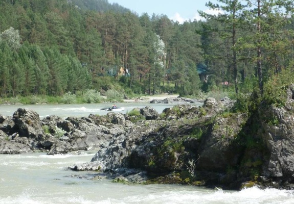 Летняя Катунь