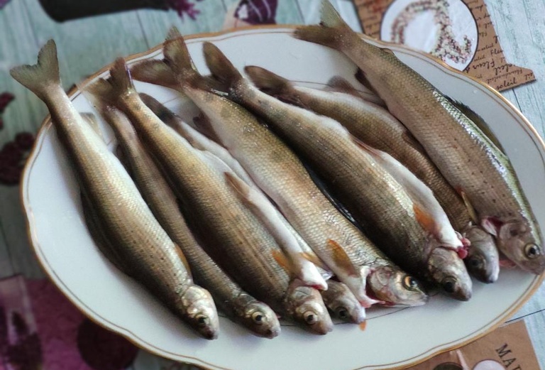 Хариус на блюде